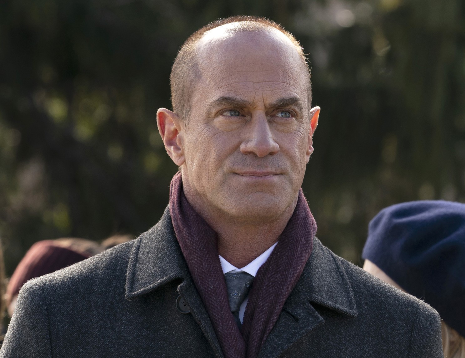 law and order svu stabler
