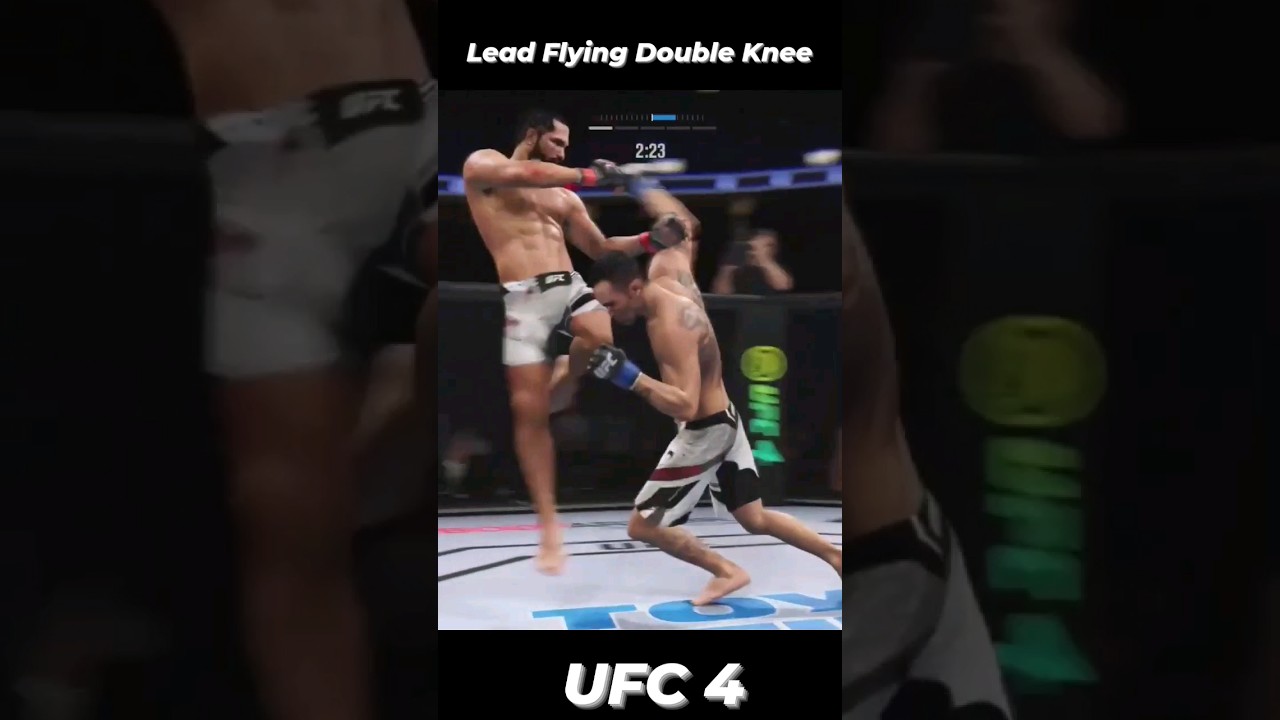 lead flying double knee ufc 4