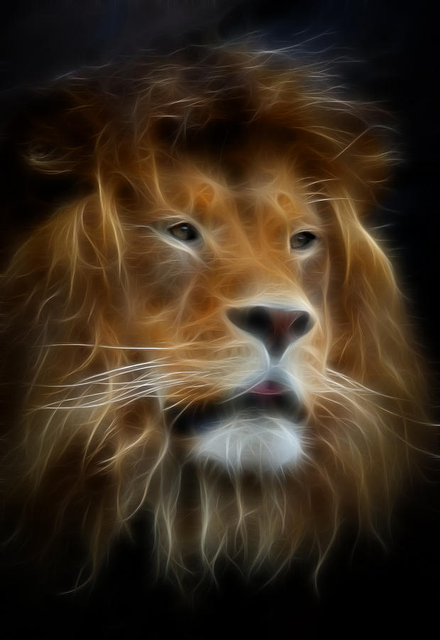 leo the lion images