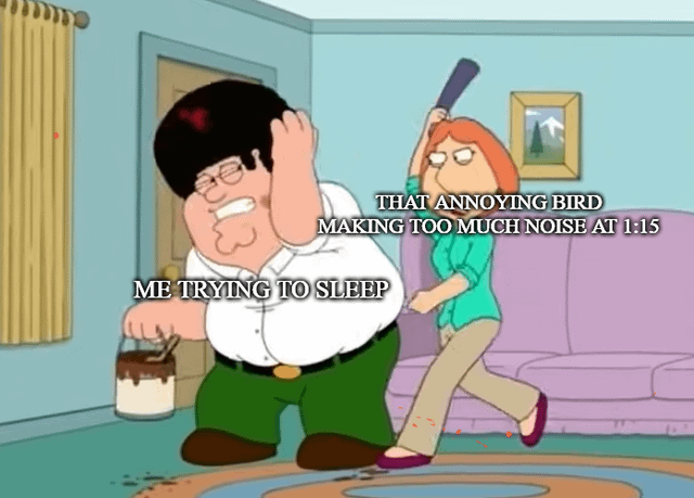 lois beats up peter