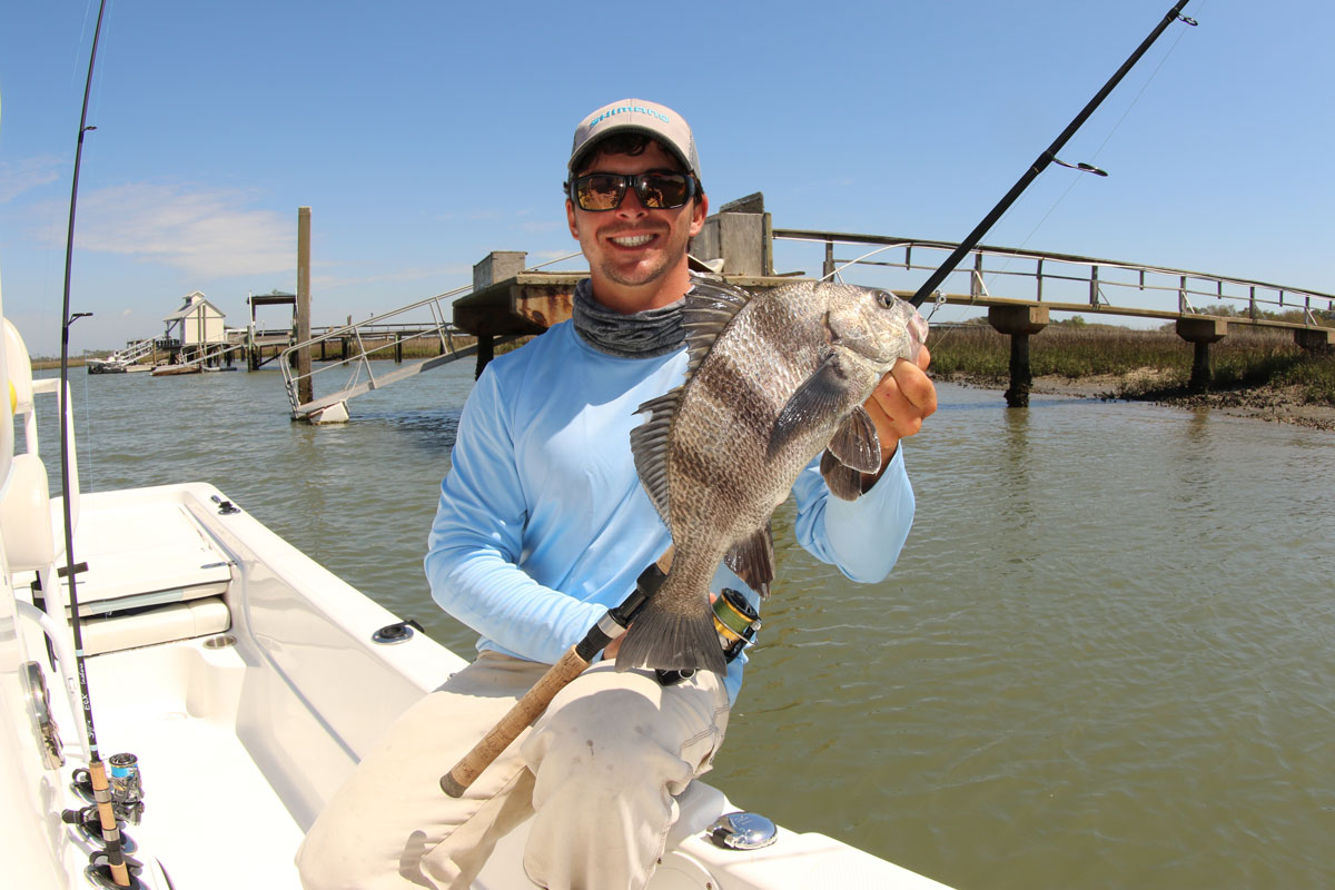 louisiana black drum size limit