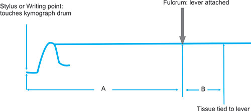 magnification value in pharmacology