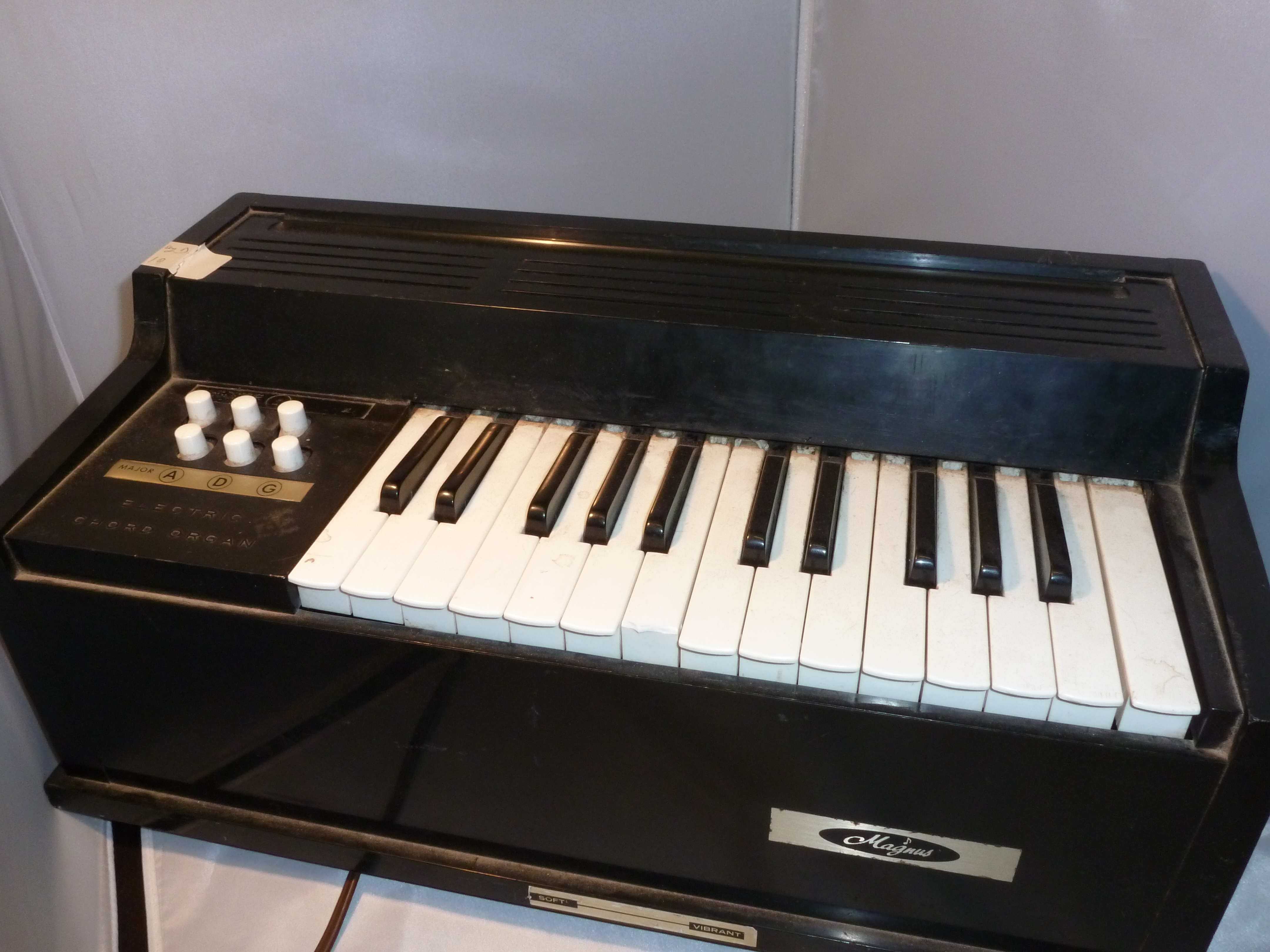 magnus electric chord organ