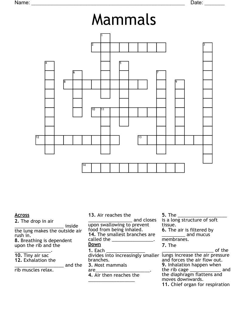 mammal type crossword clue