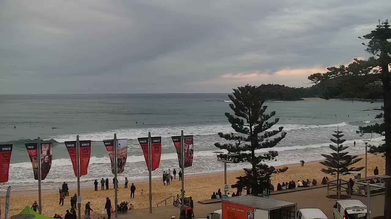manly surf cam