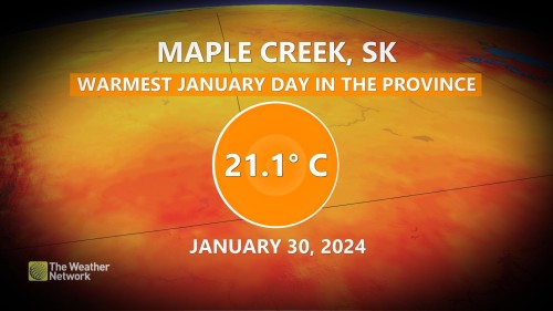 maple creek weather network