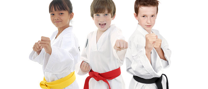 martial arts america pleasanton ca