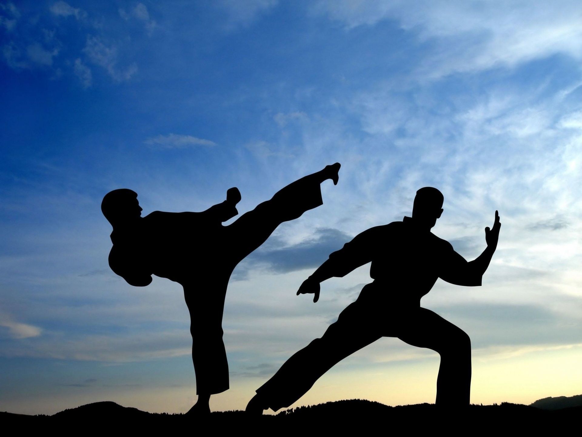 martial arts wallpaper hd