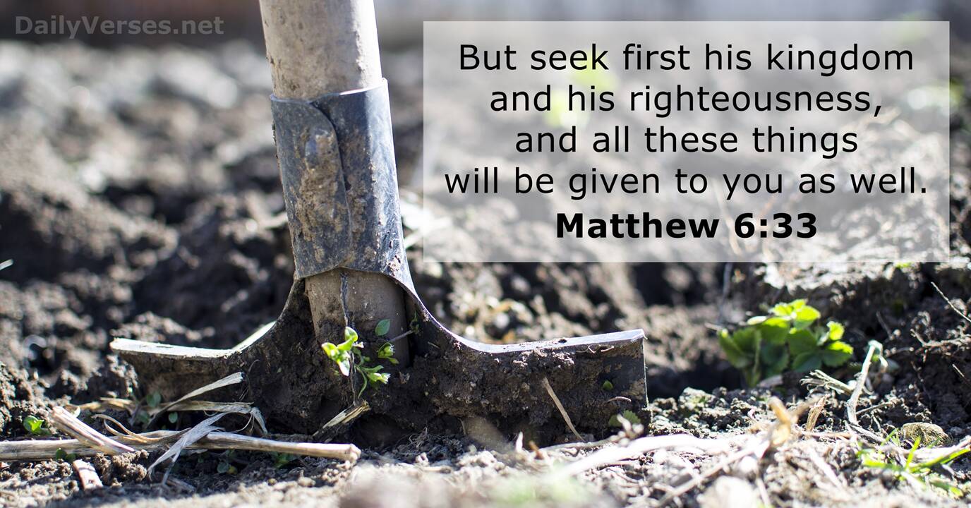 matthew 6 33 nkjv