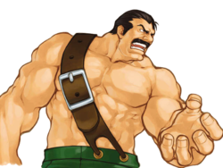 mayorhaggar