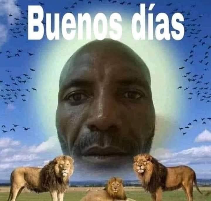 meme buenos dias