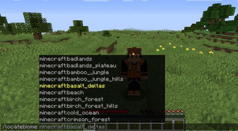 minecraft biome search