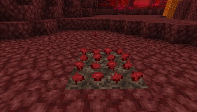 minecraft nether wart