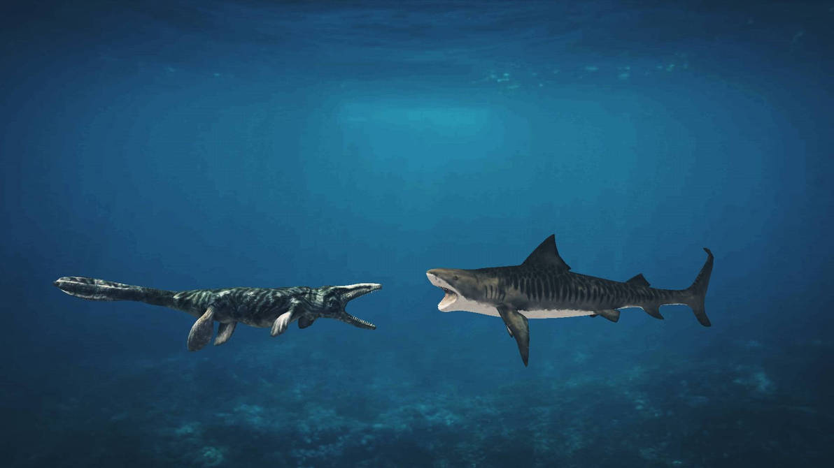 mosasaurus vs megalodon