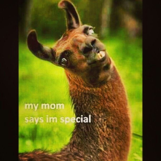 my mom says im special