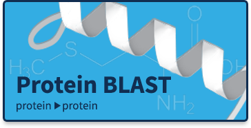 ncbi protein