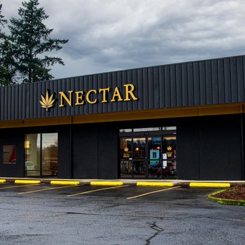 nectar dispensary portland