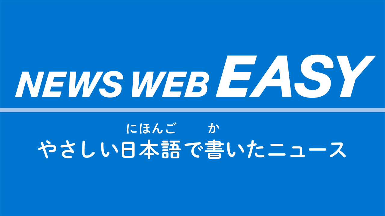 news web easy