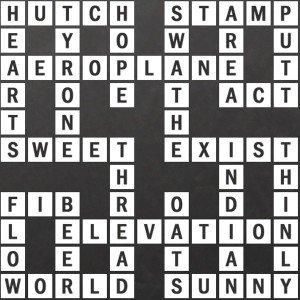 northern irish county crossword clue