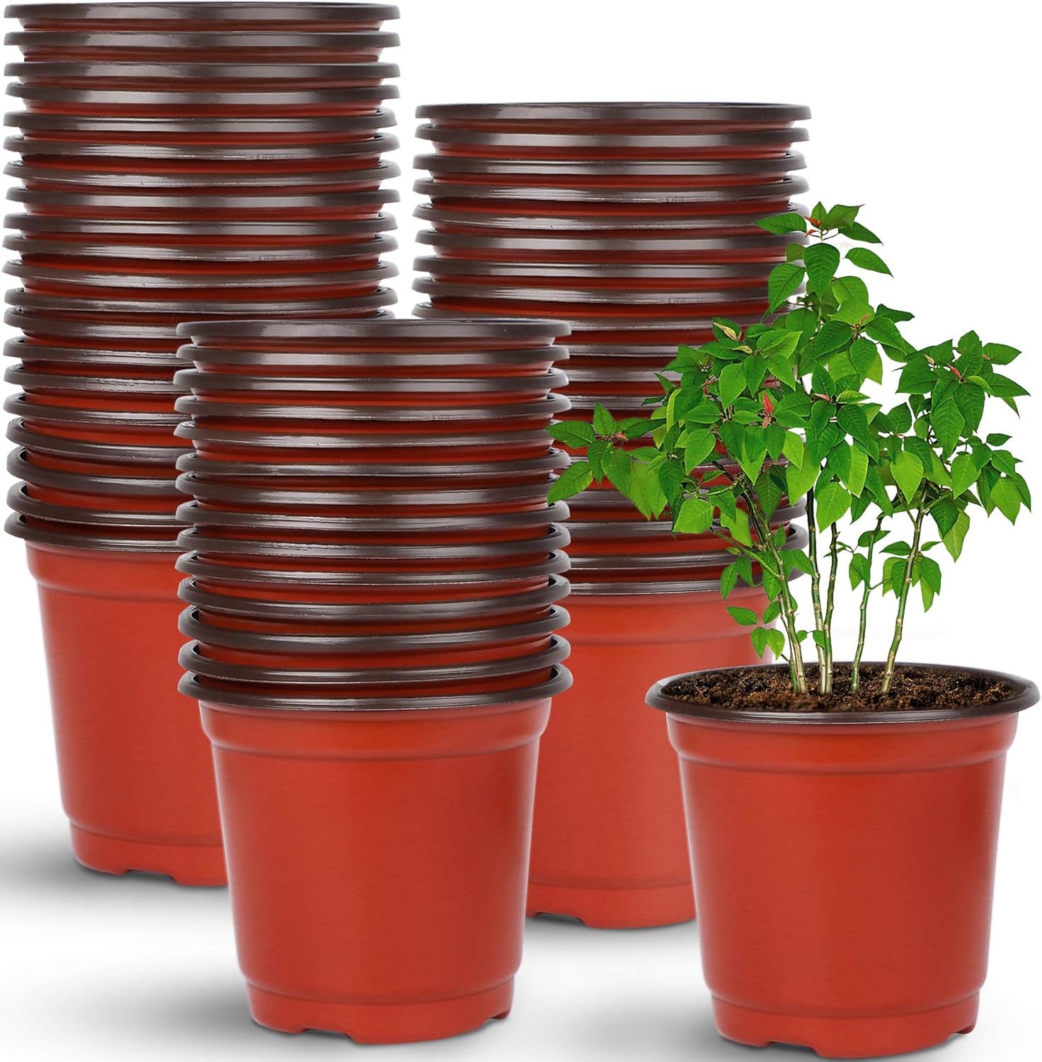 nursery plant pots