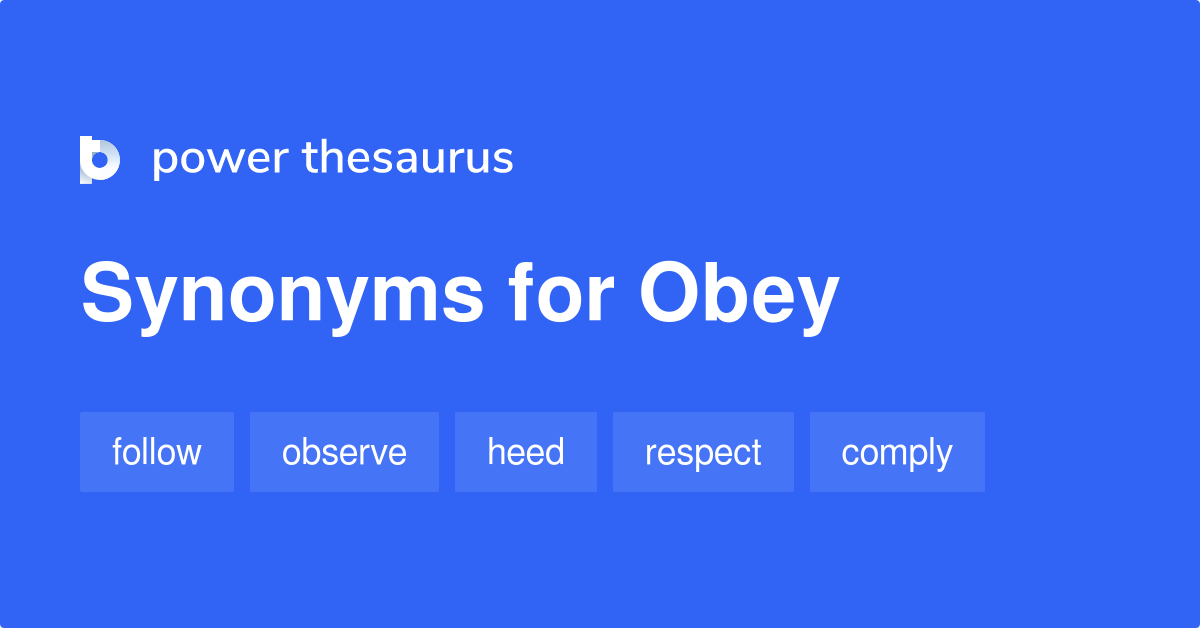 obey synonyms