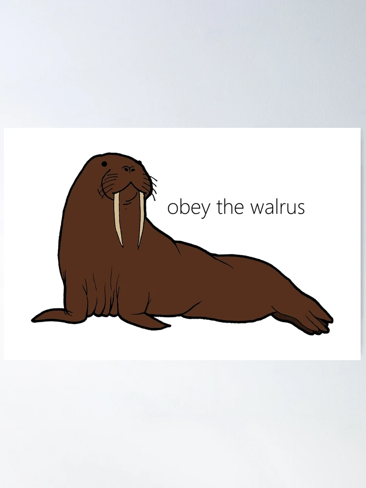 obey the walrus story