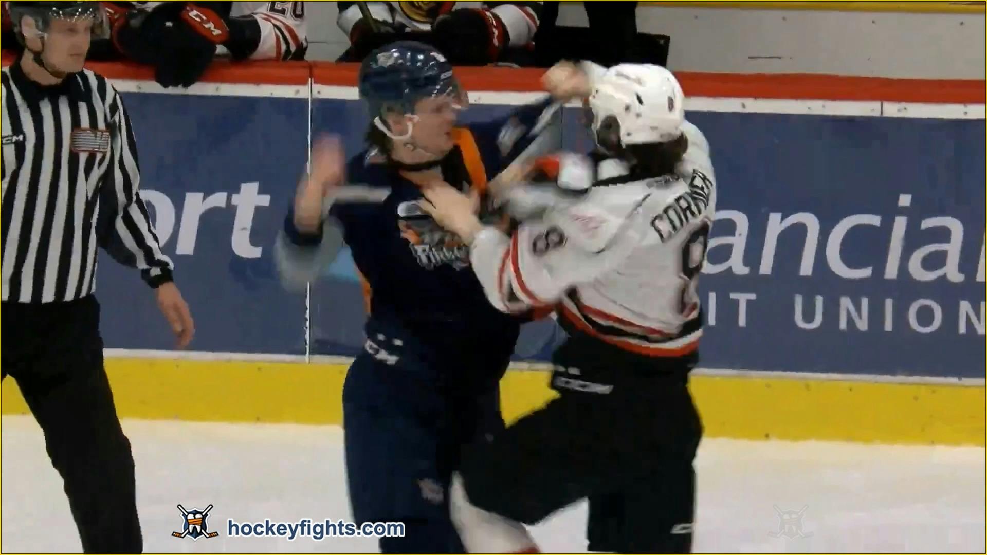 ohl fights
