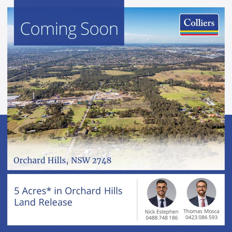 orchard hills land release