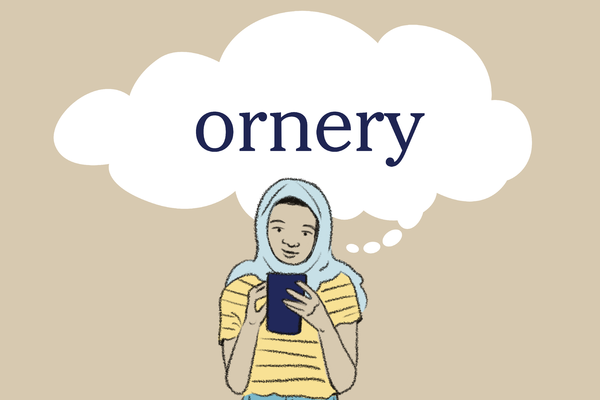 ornery meaning