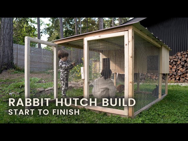 outdoor bunny enclosure