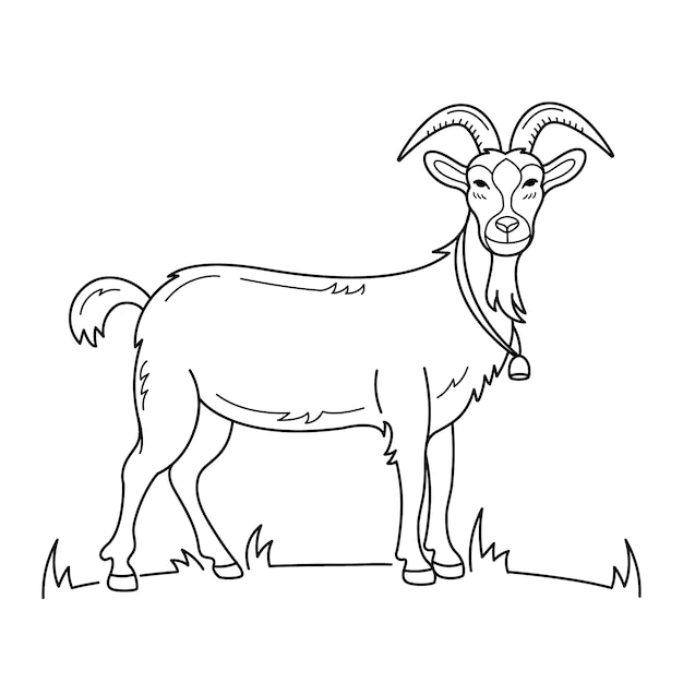 outline picture of goat