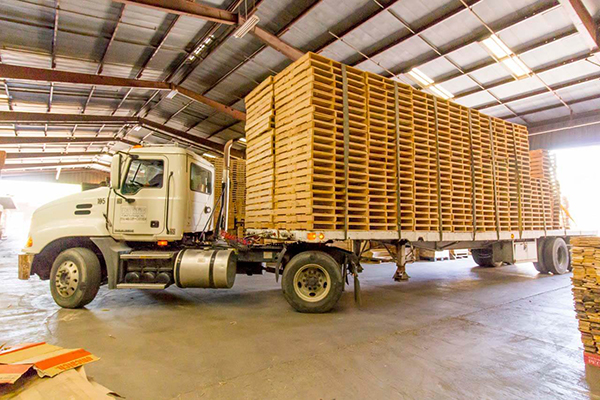 pacific pallet exchange inc