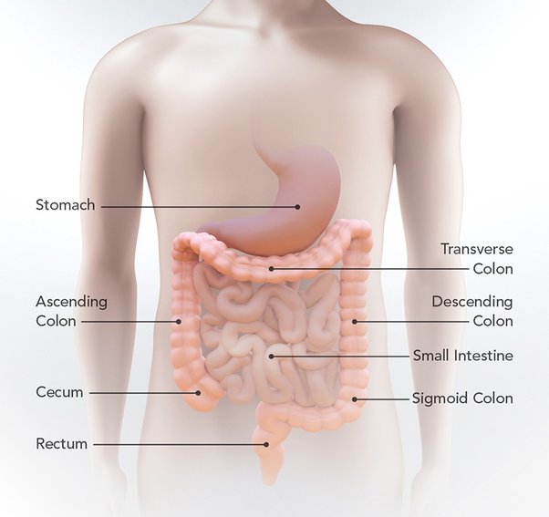 pain in right side abdomen under ribs