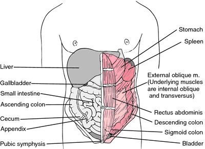 pain left side below the ribs