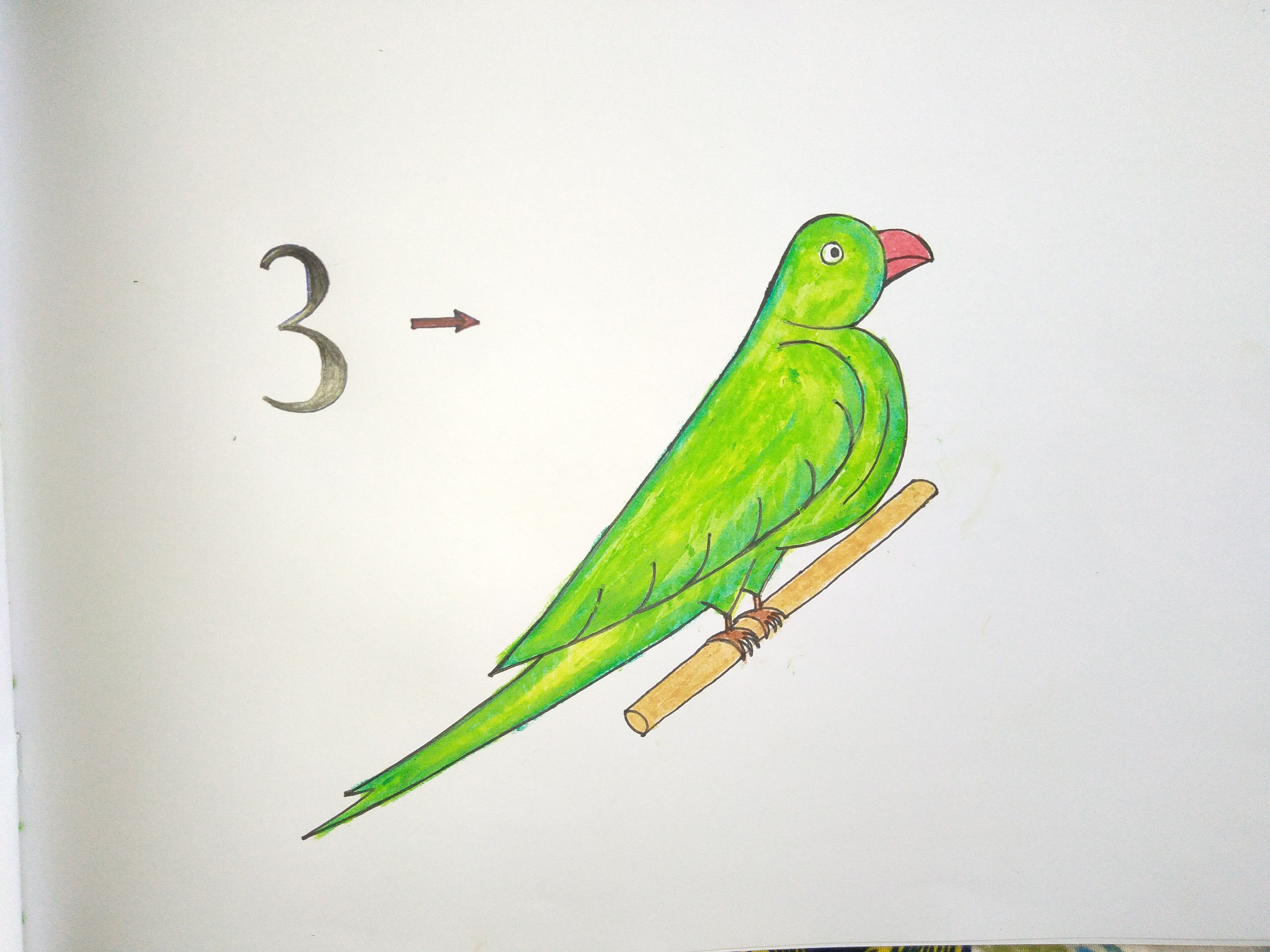 parrot drawing for kids