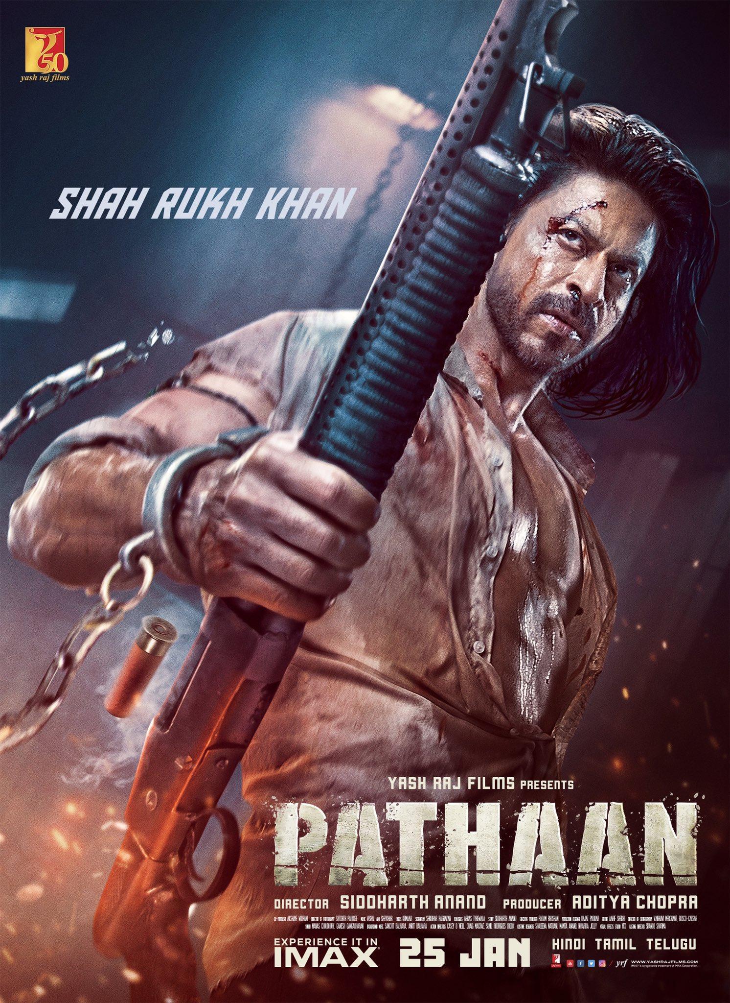 pathaan synopsis