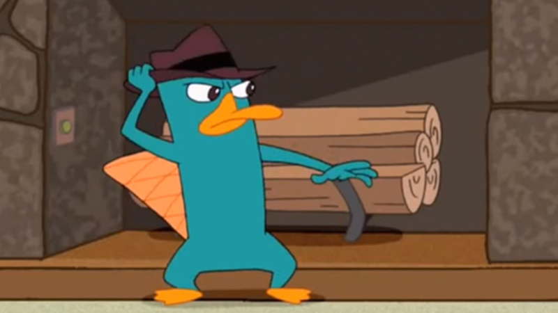 perry the platypus meme