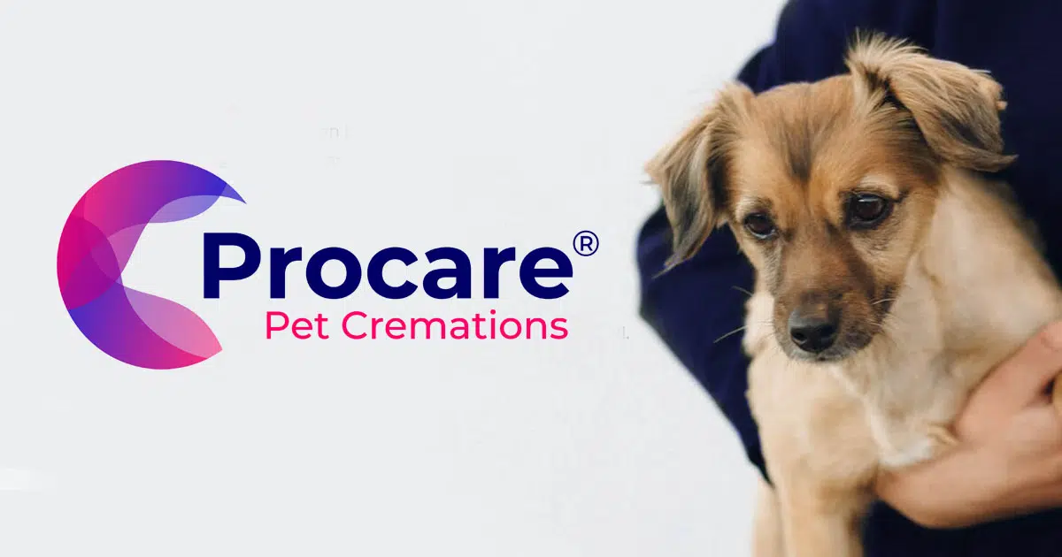 pet cremation manchester uk