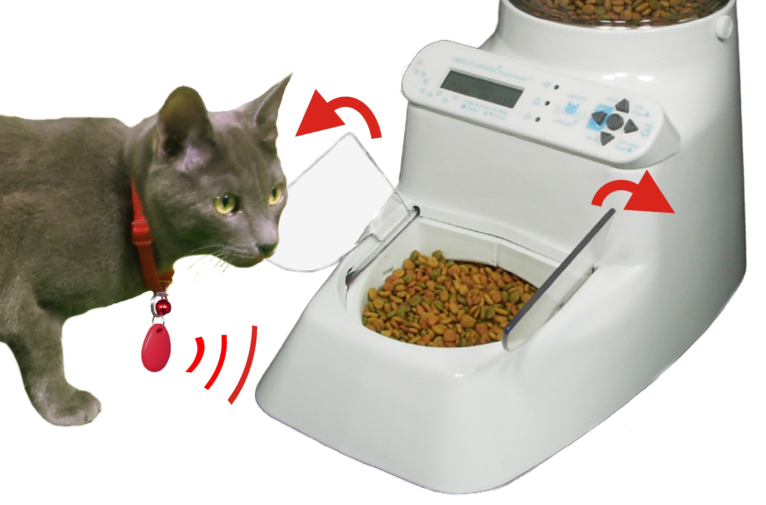 pet feeder chip