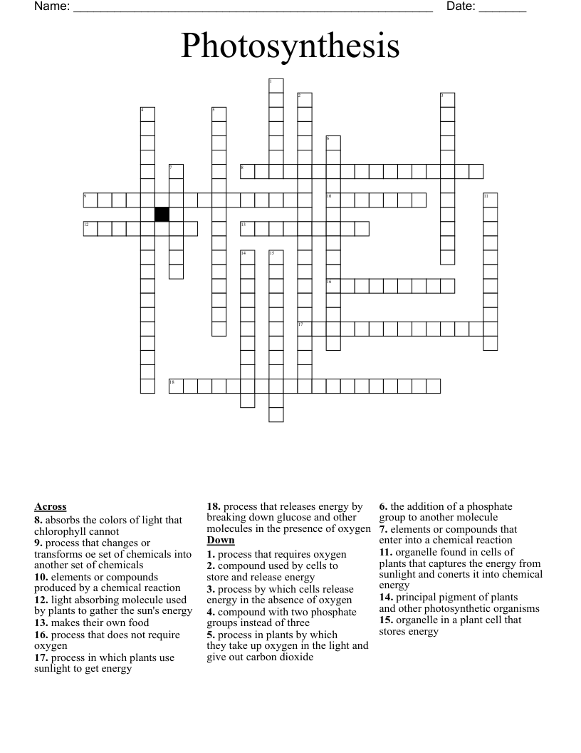 photosynthesis crossword puzzle answers