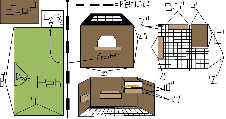 pigeon loft plans