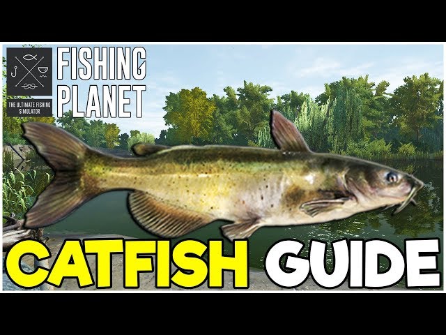 planet catfish