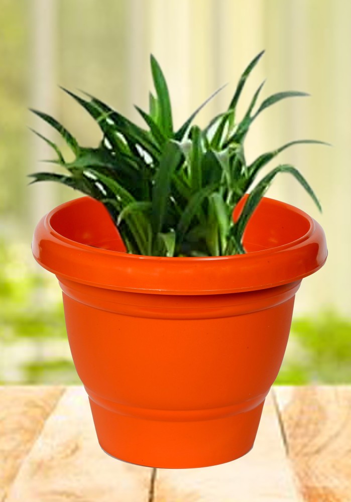 plant pot price