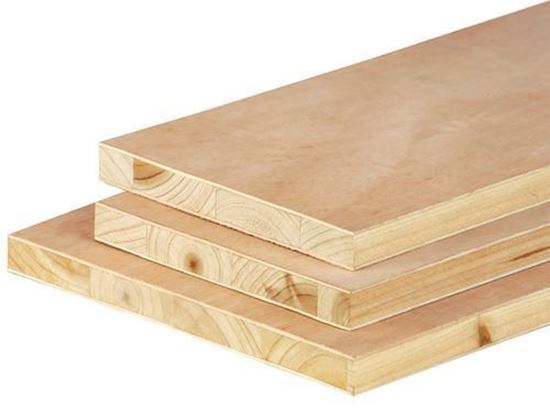 ply board 19mm price