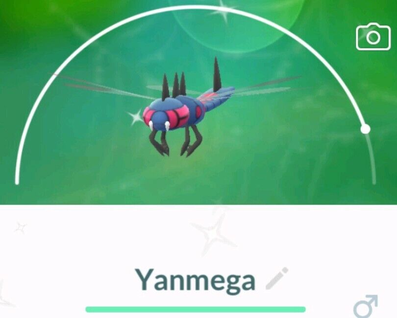 pokemon shiny yanmega