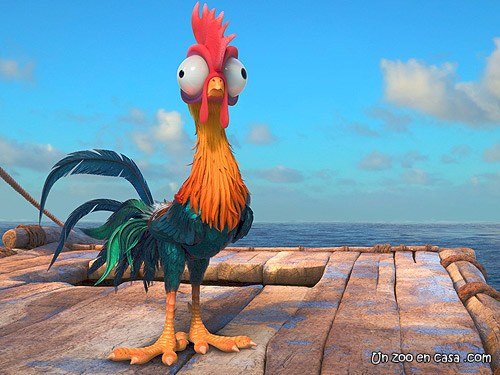 pollo de moana