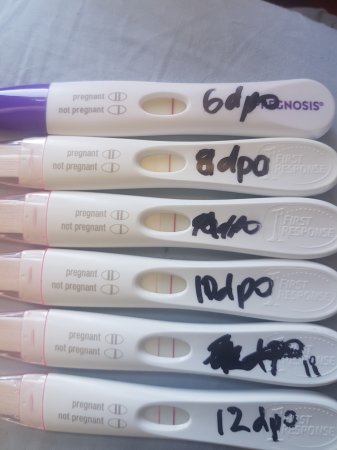 pregnancy test 6dpo