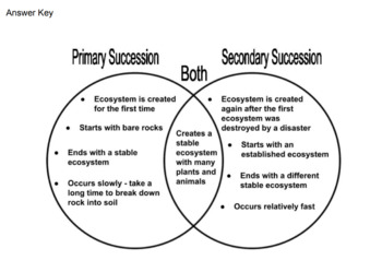 primary and secondary succession venn diagram