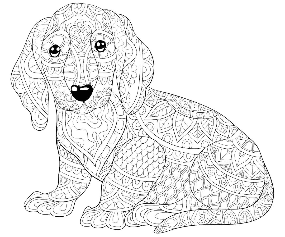 printable coloring pictures of dogs
