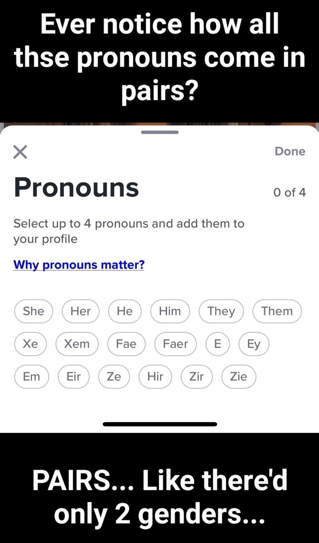 pronouns memes